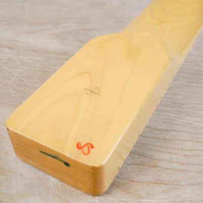 Tokai BreezySound Neck Telecaster Style w/ Maple Fretboard 2010 image 6
