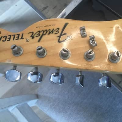 Fender Telecaster Thinline 1973 - 1978 - Walnut (Mocha) image 9