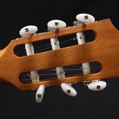 Taylor Academy 12e-N Nylon String Grand Concert Acoustic-Electric Guitar Natural 069 image 13