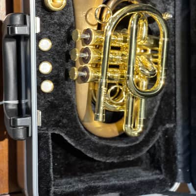 Carol Brass Pocket Trumpet CPT-3000-SLB image 15