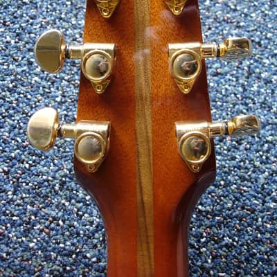 Lance Mccollum Grand Auditorium Tree Mahogany image 6
