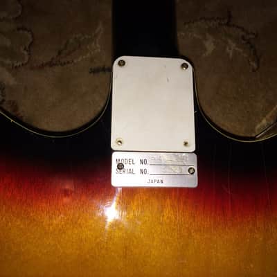 Idol/Marlin Pa25 1968 Burst image 1