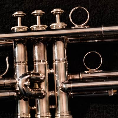 PHIL DRISCOLL MIGHTY HORN Bb trumpet by HOLTON (Limited Edition) image 4
