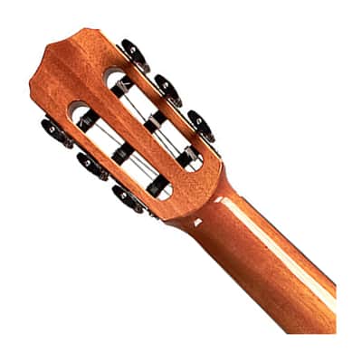 Cordoba Fusion 12 Cutaway A/E Nylon String Guitar - Natural Cedar image 5