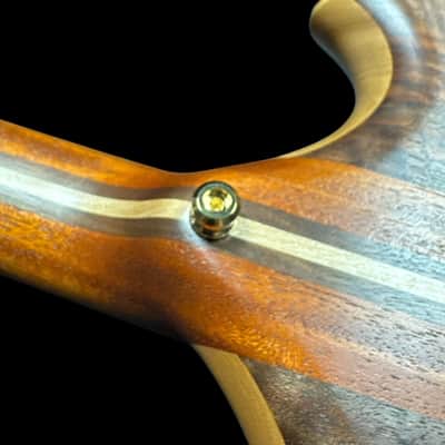 Alembic Stanley Clarke "Brown Bass", Flame Walnut with Ebony, BLUE LEDS *IN STOCK*** image 10