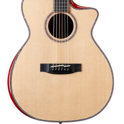 Prestige Master Class Cocobolo (with Fishman Electronics) w/Case image 2