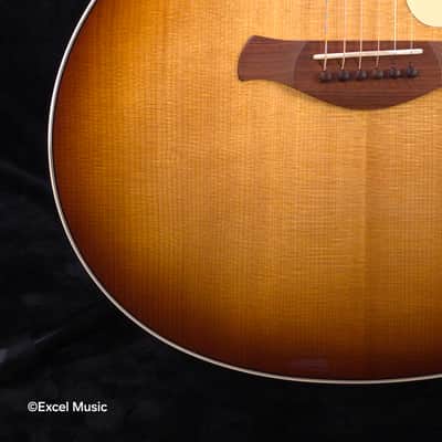 Taylor Gold Label 714e SB Super Auditorium w/HardCase | LR Baggs Element VTC Electronics | Fanned V-Class Bracing | Action Control Neck (Mint Demo Unit) image 6