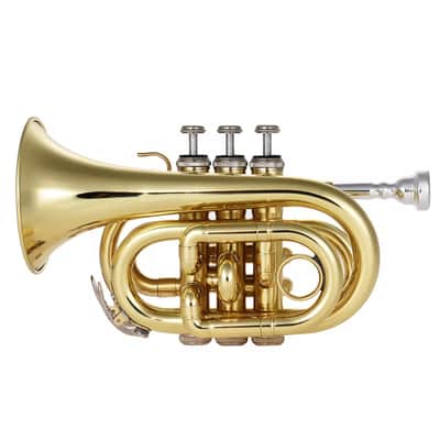Compact Bb Flat Pocket Trumpet – Brass Wind Instrument for Students & Beginners image 3