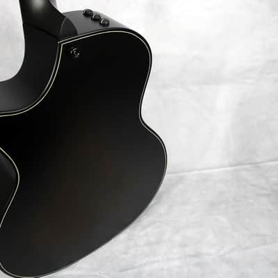 2024 Taylor 50th Anniversary Builder's Edition 314ce LTD - Tobacco Kona Burst image 9