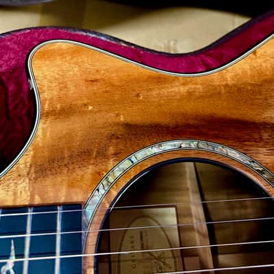 Taylor Spring Limited Edition 12-Fret Grand Concert Acoustic-Electric Guitar 2010 - Natural image 8