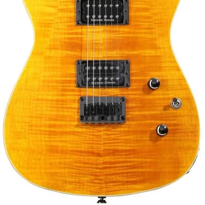 Fender Special Edition Custom Telecaster FMT HH with Laurel Fretboard - Amber image 1