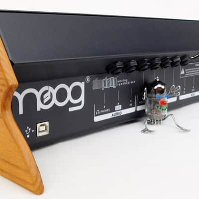 MOOG Slim Phatty Analog Synthesizer Desktop + Holz + Neuwertig + 1,5J Garantie image 3