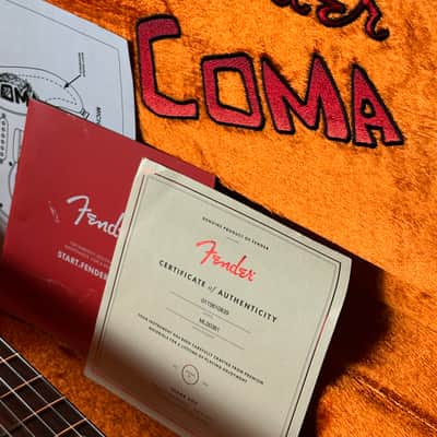 Fender Stories Collection Michael Landau "Coma" Stratocaster USA image 6