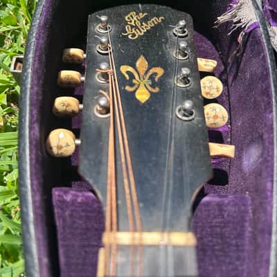 Gibson Style A-4 Mandolin 1913 - Black image 7