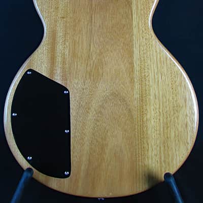Agile Harm 1 630 Bass VI Super Clean w/Gigbag! image 5