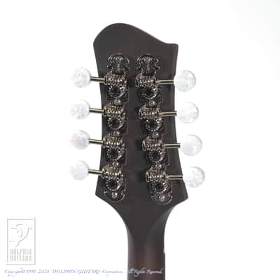 Eastman MD-305 image 8
