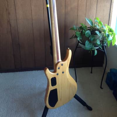 Roscoe LG-2000 flattop fretless image 4