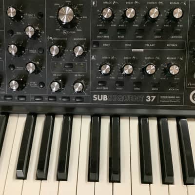Immagine Moog Subsequent 37 - 3