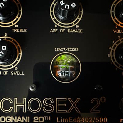 Gurus Echosex 2 LTD 20th Anniversary 2016 - Gold image 4