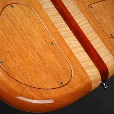 Alembic Spectrum - Cocobolo Top with Mahogany Body - Blue and Red Side LEDs - Guitar with Hard Shell Case image 19