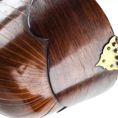 Luigi Fenga Bowlback Mandolin ca. 1920 image 7