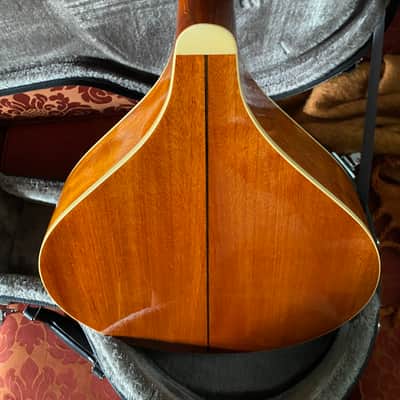Gold Tone Octave Mandolin / OM-800+ / Hardcase Included / Pickup Installed / Excellent Cond image 5