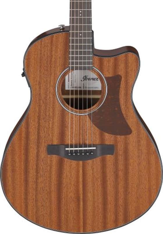 Ibanez AAM54CEOPN Advanced Auditorium Acoustic Electric Guitar - Natural image 1
