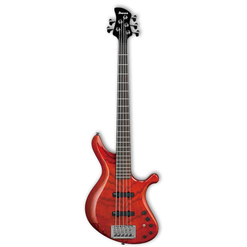 Ibanez G105 ハードケース付き Ibanez G105 ハードケース付き 【公式通販】