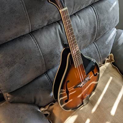 Eleca EMA-1 Mandolin...w/ New Gig Bag and Accessories image 5