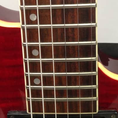 Washburn BT8 Red Maple image 7