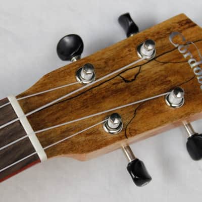 Cordoba 24T-CE Tenor Single Cutaway Acoustic-Electric Ukulele Cedar/Maple #32759 image 3