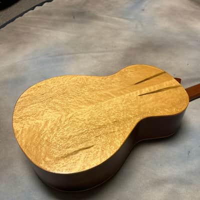 2005 Robinson Model Eccentric Day 'O' Size Acoustic Guitar image 6
