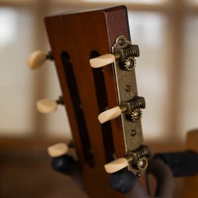 Lyon & Healy Lakeside Parlor - Indian Rosewood #001 image 7
