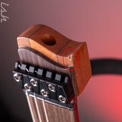 Strandberg Sälen Jazz NX 6 Electric Guitar Natural Demo image 7