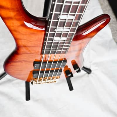 Spector Euro 5 LX 2010s - Ultra Amber Gloss image 5