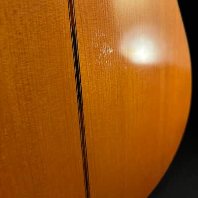 1997 Gerundino Fernandez Flamenco Guitar image 18