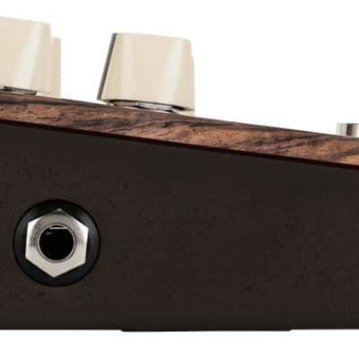 LR Baggs Align Chorus - Chorus Effect Pedal Tailored for Acoustic Instruments image 2