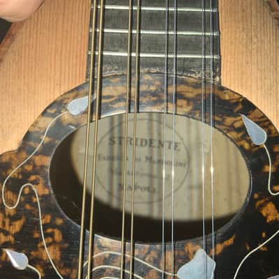 Mandolin Brothers Stridente 1905-1915 image 10