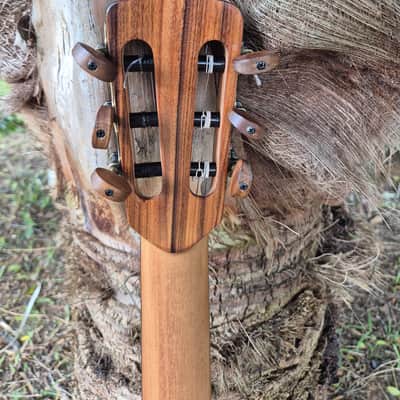 Made to order Handmade Guitar Crossover Solid Woods Brazil French Polish image 13