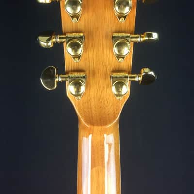 Zager ZAD80CE Solid Cedar/Rosewood Acoustic Electric Pro Series image 6