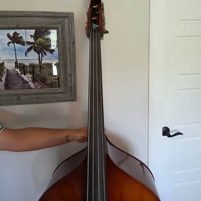 Gollihur Estle Louis LIV (54) double bass - Hand Carved Model 2000-current - Spruce top, Maple back & sides image 6