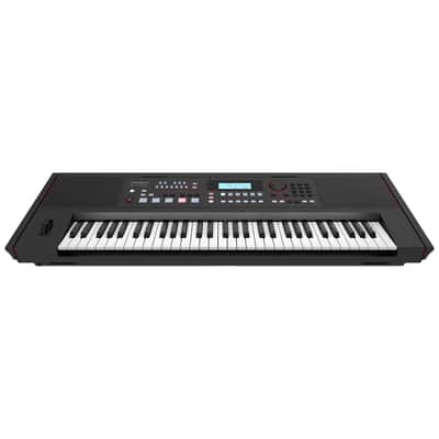 E-X50 Roland image 2