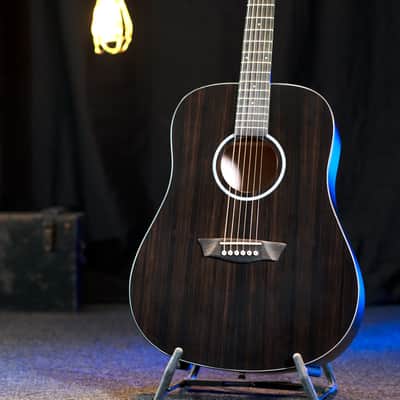 Washburn DFED Forest Dreadnought Shape Striped Ebony Ace Wood Mahogany Neck 6-String Acoustic Guitar image 4
