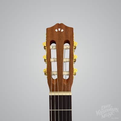 Cordoba C1M Protege Guitar - Matte image 7