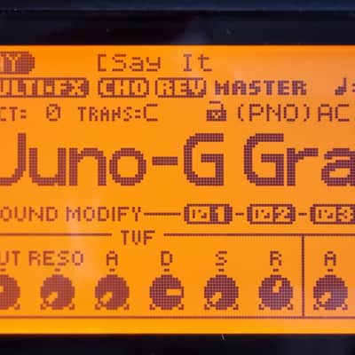 Immagine Roland Juno G 61-Key 128-Voice Expandable Synthesizer inc. Hard Case - 7