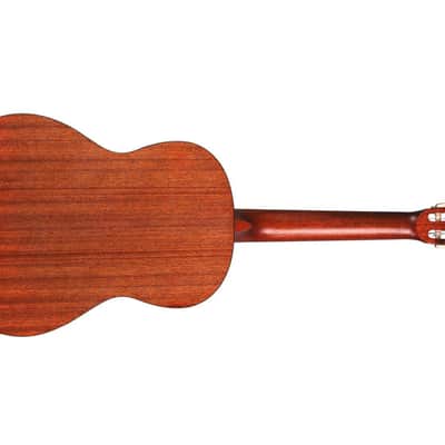 Cordoba CP100 Classical Nylon String Acoustic Guitar Package image 5