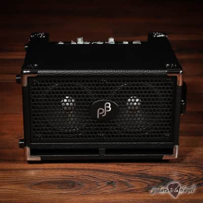 Phil Jones Bass BG-120 Bass Cub Pro 2x5” 120W Combo Amp w/ Carry Bag – Black image 3