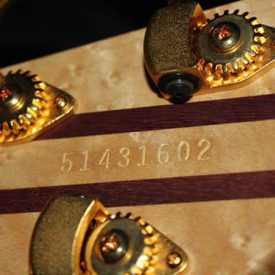 Peavey  Cirrus 5 Quilt Top Tiger Eye 2006 MINT image 16
