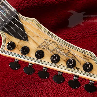 B.C. Rich Shredzilla Prophecy Archtop with Evertune Spalted Maple image 10