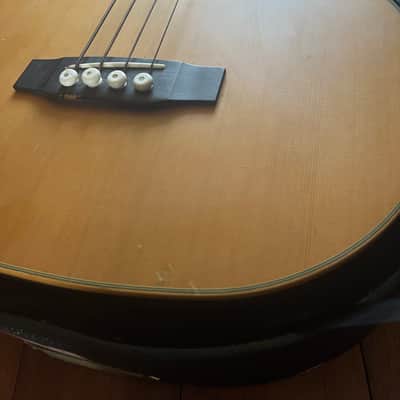 Demo video! Michael Kelly Club deluxe Acoustic Bass with hard case image 12
